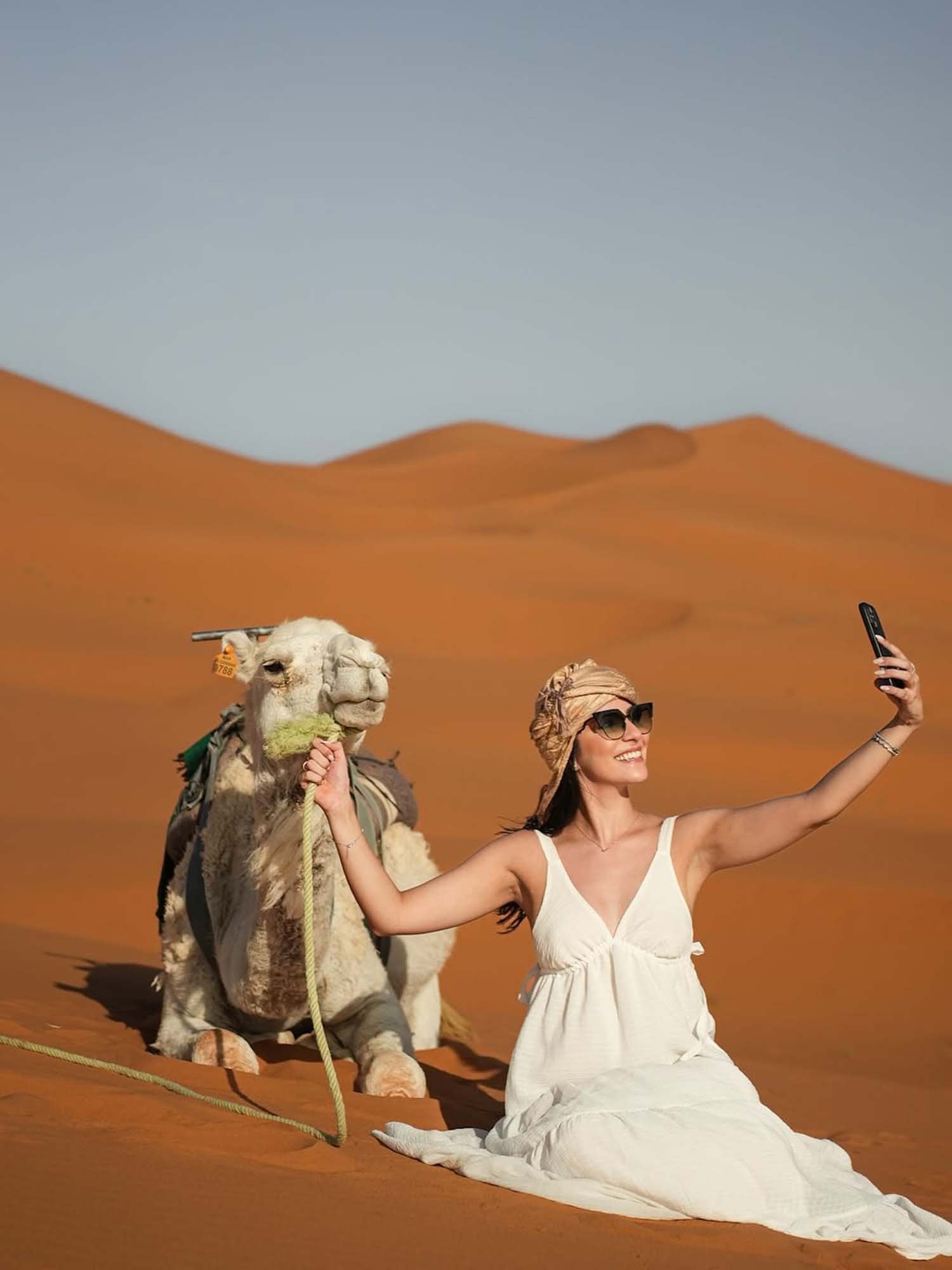 Camel excursion Sahara